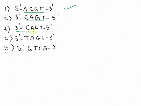 5-acgt-3-cagt-5-cagt-3-tagc-5-5-gtca-49698