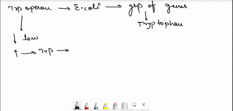 the-trp-repressor-plays-role-in-regulating-the-tryptophan-operon-the-trp-repressor-is-best-characterized-by-which-of-the-processes-in-the-figure-ligand-regulated-repretton-rna-poam-urn8-ceoi-39488