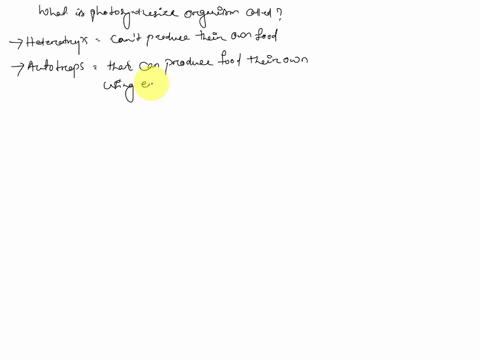 organisms-which-are-able-to-photosynthesize-are-called-heterotrophs-decomposers-autotrophs-ominotrophs-79894