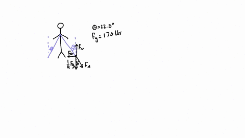 62 the person in figure p562 weighs 170 lb as seen from the front each ...