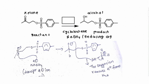 brh4-naoh-ag2onh4oh-hzo-d-nah-h2s04-liaiha-cro3-h2s04-h2o-nabh4-cro3-hci-pyridine-10985