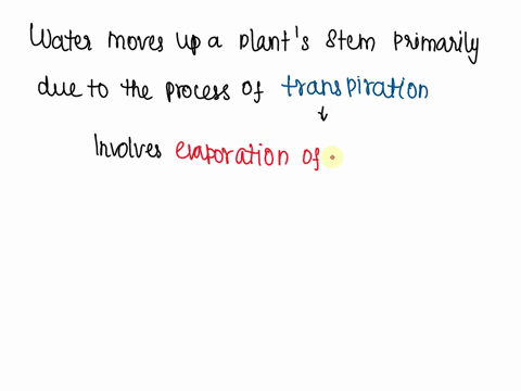 water-moves-up-a-plants-stem-as-a-result-of-___________-a-the-xylem-pump-b-diffusion-of-water-into-r-02207