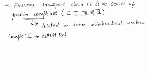 electrons-from-fadh2-enter-the-electron-transport-chain-through-a-complex-i-b-complex-ii-c-complex-iii-d-complex-iv-e-a-and-b-83376