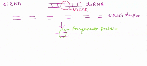 question-17-2-pts-select-all-that-apply-which-of-the-following-can-induce-gene-silencing-ncrna-mrna-rrna-sirna-snorna-snrnps-trna-mirna-66919