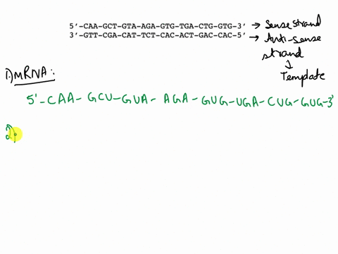 17-the-following-dna-sequence-encodes-part-of-the-c-terminus-of-a-prokaryotic-protein-use-the-codon-table-provided-as-needed-to-answer-the-following-questions-assume-upper-strand-is-sense-5-10492
