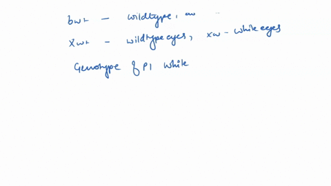 in-drosophila-the-gene-for-white-w-eyes-is-on-the-x-chromosome-and-it-is-epistatic-over-brown-and-scarlet-white-eyes-can-also-result-by-crossing-brown-eyed-females-bw-with-scarlet-eyed-males-31926