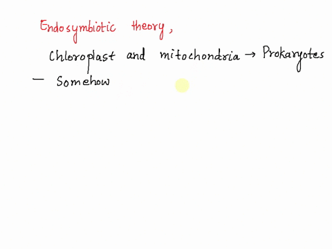 describe-the-evidence-that-suggests-that-mitochondria-and-chloroplasts-evolved-by-endosymbiosis-english-please-and-paragraph-format-33218