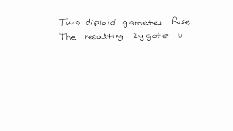 two-diploid-gametes-fuse-the-resulting-zygote-will-be-what-ploidy-monoploid-defloids-theloid-tatromisid-question-4-1-pts