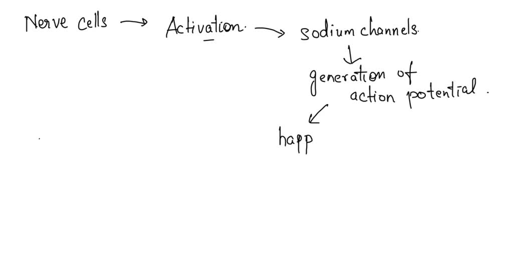 SOLVED Why can we not describe activation of the nerve cells as 'semi