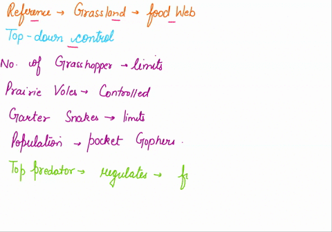 question-15-15-pts-in-reference-to-the-grassland-food-web-thats-shown-which-of-the-following-statements-illustrate-an-example-of-top-down-control-harehina-upland-plover-coxole-the-number-of-36642
