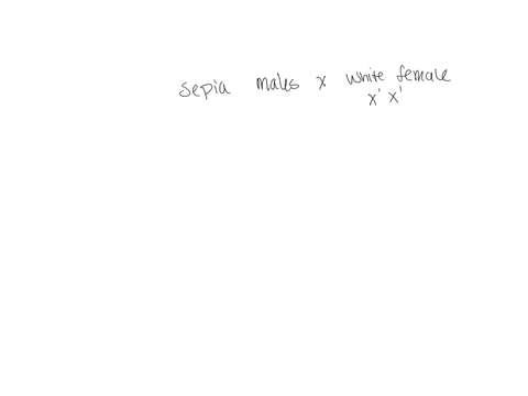 if-you-crossed-p-generation-sepia-males-with-white-females-what-phenotype-would-you-expect-for-your-f1-generation-male-offspring-recall-that-the-white-gene-is-on-the-x-chromosome-while-sepia-45836