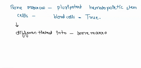 true-or-false-bone-marrow-contains-pluripotent-hematopoietic-stem-cells-which-is-why-they-can-produce-all-the-blood-cells-ie-megakaryocytes-as-well-as-red-and-white-blood-cells-71525