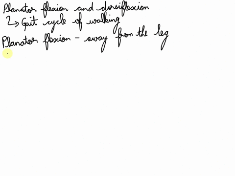 describe-the-roles-of-plantar-flexion-and-dorsiflexion-in-walking-what-muscles-produce-these-actions-66645