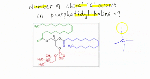 how-many-chiral-carbons-are-in-phosphatidylcholine-a-3-b-1-c-4-00879