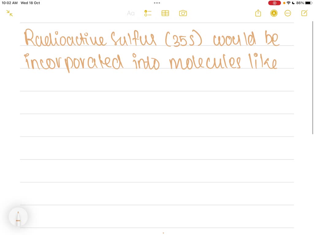 If bacterial cells were given a sulfur source containing radioactive