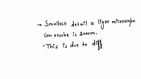 the-smallest-detail-a-light-microscope-can-resolve-is-200-nm-question-1-options-true-or-false
