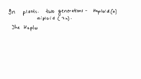 lab-3-the-nonvascular-plants-and-vascular-plants-questions-describe-the-function-of-each-generation-in-the-life-cycle-of-plants-what-is-the-dominant-generation-of-a-moss-is-this-generation-h-69636