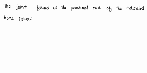 incorrect-question-12-05-pts-what-type-of-joint-is-found-at-the-proximal-end-of-the-indicated-bone-ball-and-socket-pivot-hinge-10953