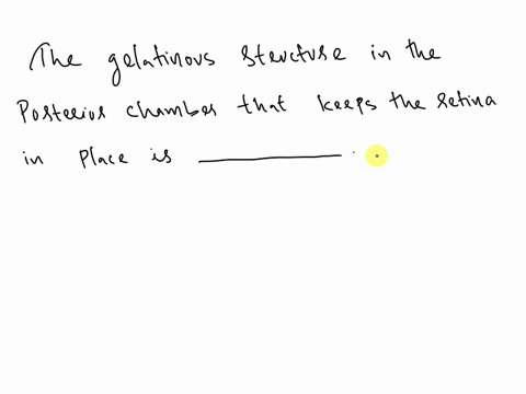 the-gelatinous-structure-in-the-posterior-chamber-that-keeps-the-retina-in-place-xa-02604