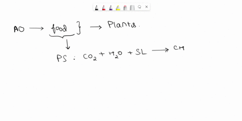 what-is-photosynthesis-a-the-synthesis-of-photons-the-chemical-reaction-that-produces-sugars-out-of-carbon-dioxide-and-fertilizers-cthe-process-used-by-organisms-to-convert-light-energy-to-c-64209