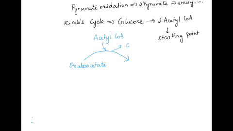 what-are-the-overall-net-products-of-the-krebs-cycle-for-each-molecule-of-glucose-a-1-pyruvic-acid-4-atp-2-nadh-b-1-fadh2-2-atp-4-nadh-c-2-pyruvic-acid-2-atp-3-nadh-d-2-fadh2-2-atp-6-nadh-30412