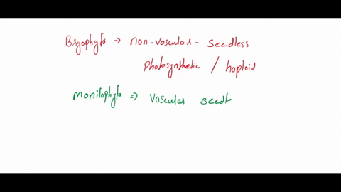 match-the-major-characteristics-with-phyla-or-class-of-plants-these-non-vascular-seedless-plants-a-bryophyta-mosses-have-a-dominant-and-photosynthetic-b-monocots-gametophytehaploid-life-cycl-48466
