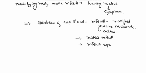 how-is-the-newly-made-mrna-modified-before-leaving-for-the-cytoplasm-group-of-answer-choices-1-addition-of-a-cap-to-the-5-end-2-all-of-the-above-3-cutting-out-introns-and-pasting-the-exons-b-51235