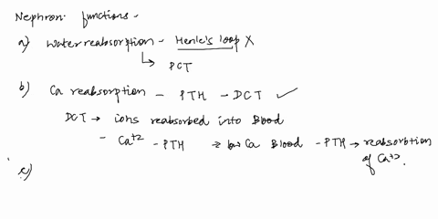 question-20-1pts-select-all-that-applywhich-of-the-following-statements-regarding-nephron-function-are-true-the-majority-of-obligatory-water-reabsorption-occurs-in-the-loop-of-henle-calcium-06038