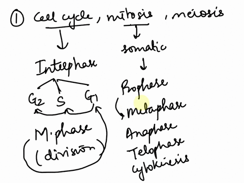 1-identify-stages-of-the-cell-cycle-mitosis-plant-and-animal-and-meiosis-2-interpret-results-from-cell-physiology-experiments-involving-movement-across-membranes-enzymes-photosynthesis-and-c-52108