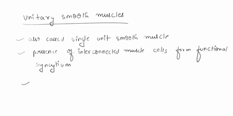 question122-points-4listen-which-of-the-following-describes-the-cells-of-unitary-smooth-muscle-they-consist-of-muscle-fibers-that-are-structurally-independent-of-each-other-they-are-used-for-72542