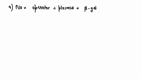 the-lac-opeton-and-its-control-elements-laci-cap-binding-lacz-iac-y-iaca-genes-dna-aug-aug-aug-messenger-rna-cap-protein-rna-polymerase-low-elucose-luclose-uilble-ac-genes-strongly-expressed-91773