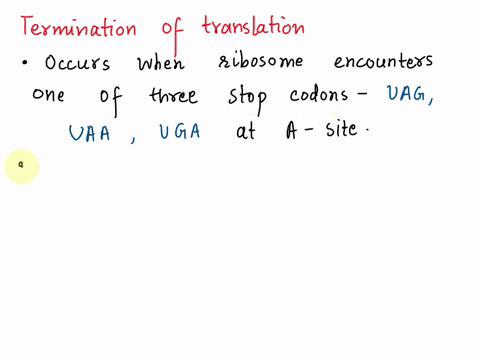 17-fig-1221-termination-how-does-the-ribosome-know-when-stop-translation-when-the-ribosome-reaches-zo-codon-such-as-release-factor-rather-than-trnai-enters-the-site-this-release-factor-frees-06169