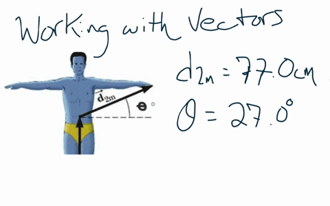 figure-illustrates-the-proportions-in-male-m-anatomy-the-displacement-dim-from-the-bottom-of-the-feet-to-the-navel-have-height-of-61cm-the-displacement-dzm-from-the-navel-to-the-tip-of-the-m-21611