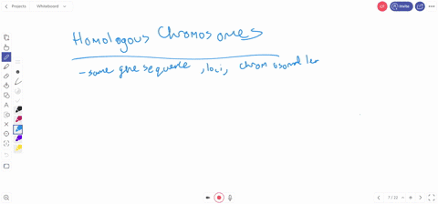 which-of-the-following-statements-regarding-homologous-chromosomes-is-false-the-centromere-in-the-same-position-in-homologous-chromosomes-homologous-chromosomes-are-the-same-size-genes-are-p-76321