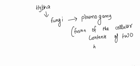 what-does-it-mean-to-say-that-a-hypha-is-dikaryotic-a-two-nuclei-fuse-during-sexual-reproduction-to-08668