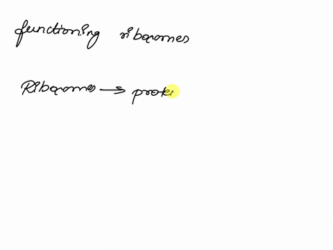 which-of-these-is-not-found-in-the-nucleus-select-one-nucleolus-that-produces-rrna-chromatin-that-condenses-to-chromosomes-functioning-ribosomes-nucleoplasm-instead-of-cytoplasm-14167