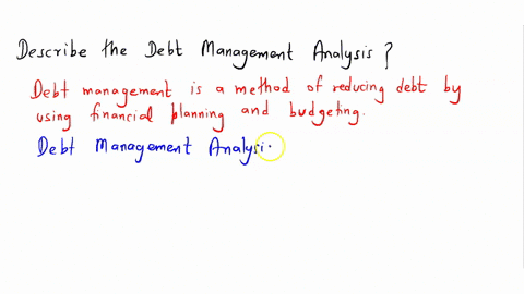 describe-the-debt-management-analysis-30496