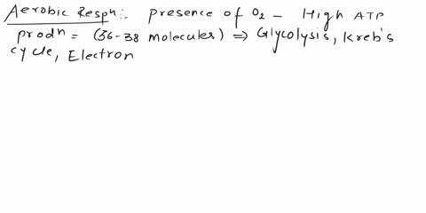 compare-and-contrast-aerobic-respiration-anaerobic-respiration-and-fermentation-in-terms-of-processes-involved-o2-requirements-and-the-amount-of-atp-produced-28277