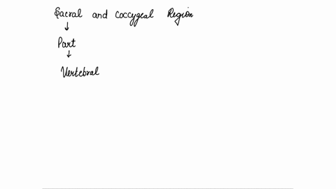 name-the-three-anatomical-regions-of-the-vertebral-column-that-are-above-the-sacral-and-coccygeal-regions-67725