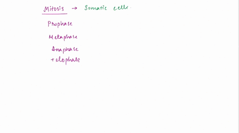 in-which-phase-of-mitosis-do-nuclear-envelopes-start-to-form-around-seperated-chromosomes-telophase-metaphase-prophase-anaphase-prometaphase-69483