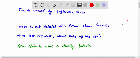 could-the-gram-stain-be-used-to-diagnose-the-flu-80794