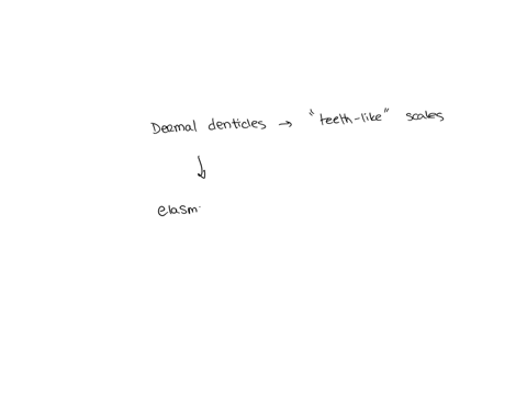 dermal-denticles-occur-in-a-the-epidermis-of-class-chondrichthyes-b-the-dermis-of-sharks-c-in-the-skin-of-all-fish-d-the-epidermis-of-cephalochordates-e-none-of-the-above-2