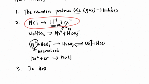 lab-2-review-anatomy-and-physiology-upon-adding-acid-to-the-buffer-the-following-chemical-reaction-took-place-hciaqnahcoshoicognaclaq-3why-did-the-buffer-bubble-or-fizz-4what-happened-to-the-92512