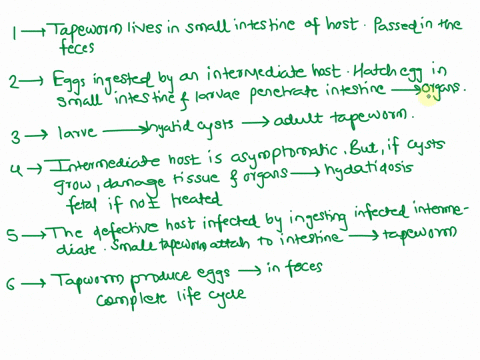 the-above-figure-shows-the-life-cycle-of-the-tapeworm-echinococcus-granulosus-dogs-and-covotes-are-the-definitive-lhosts-for-this-minute-2-4-mm-tapeworm-thoughi-dogs-are-hekost-common-defini-56608