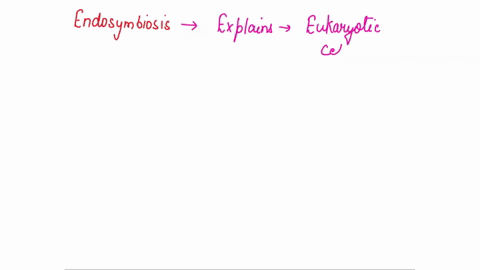 other-cellular-organelles-that-may-have-arisen-by-an-endosymbiotic-mechanism-other-than-mitochondria-and-chloroplast-17607