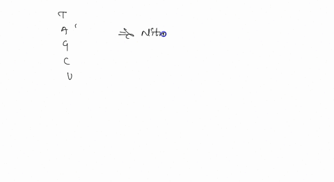 question-11-2-pts-which-of-the-following-nitrogenous-bases-is-not-involved-in-the-process-of-dna-replication-thymine-adcnine-guanine-cytosine-uracil-92725