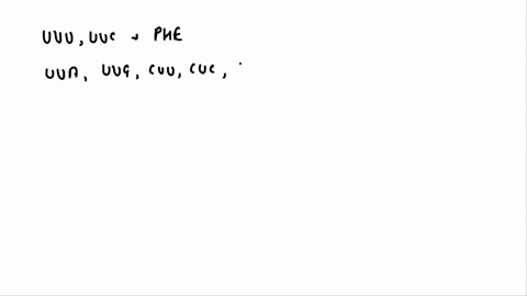 alanine-ala-arginine-arg-aspartic-acid-asp-asparagine-asm-cysteine-cys-glycine-gly-glutamic-acid-glu-glutamine-gln-histidine-isoleucine-iso-leucine-leu-lysine-lys-methionine-met-phenylalanin-56575