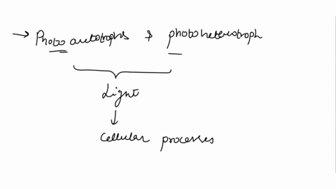 list-and-discuss-the-metabolic-diversity-of-microorganisms-ex-chemoheterotrophs-uslo-31-list-and-describe-organic-molecules-important-in-metabolism-uslo-32-15346