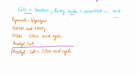 when-fats-are-broken-down-as-energy-sources-the-fatty-acids-are-converted-to-and-enter-pyruvate-glycolysis-nadh-and-fadhz-the-electron-transfer-pgal-the-citric-acid-cycle-acetyl-coa-substrat-19396