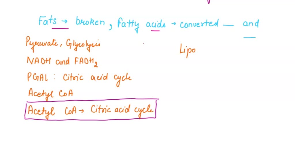 SOLVED When fats are broken down as energy sources, the fatty acids